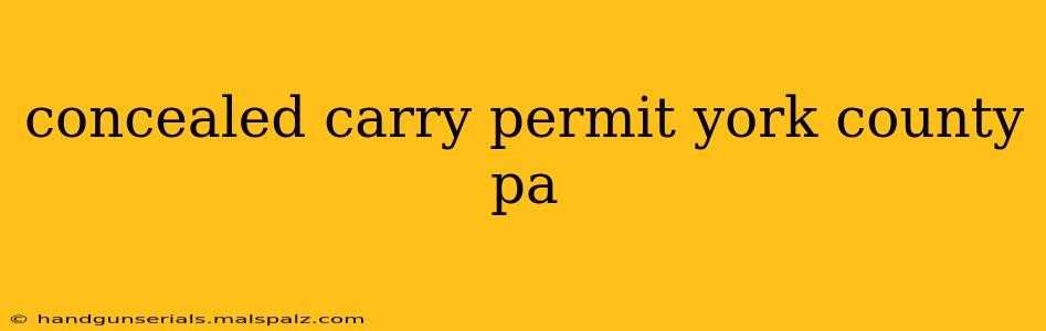 concealed carry permit york county pa