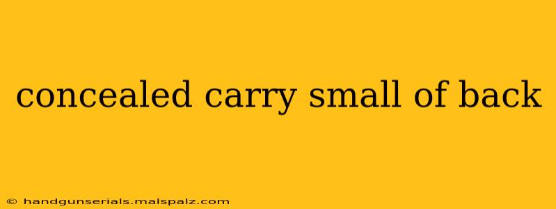 concealed carry small of back