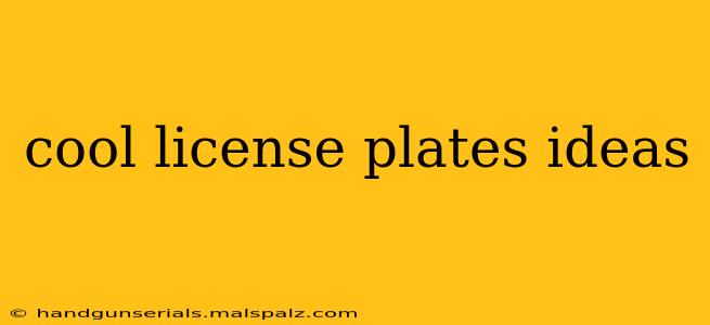 cool license plates ideas