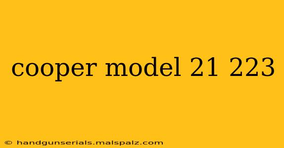 cooper model 21 223