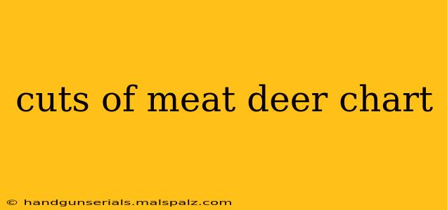 cuts of meat deer chart