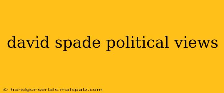 david spade political views