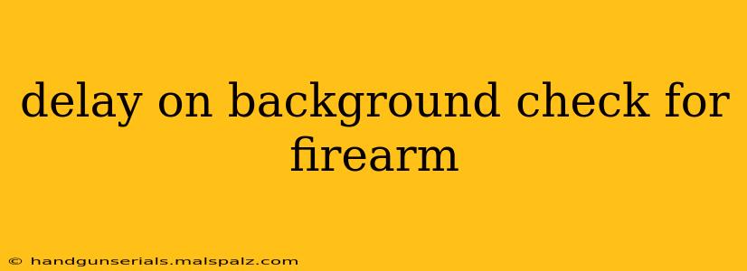 delay on background check for firearm