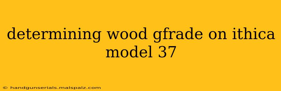 determining wood gfrade on ithica model 37