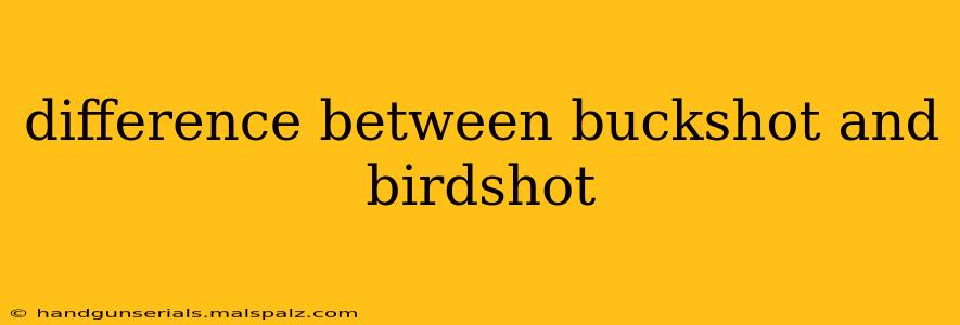 difference between buckshot and birdshot