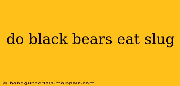 do black bears eat slug