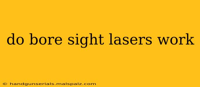 do bore sight lasers work