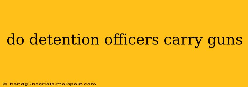 do detention officers carry guns