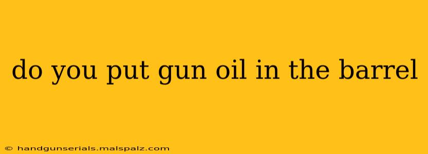 do you put gun oil in the barrel