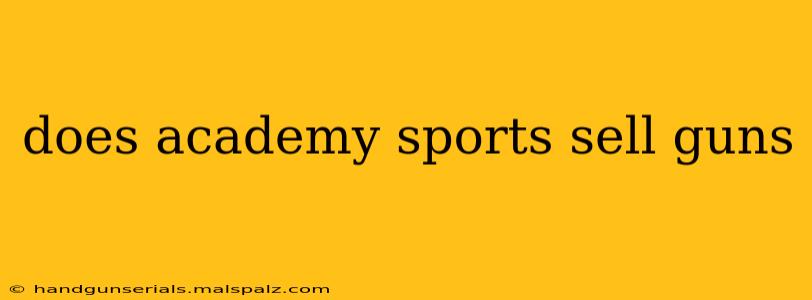 does academy sports sell guns