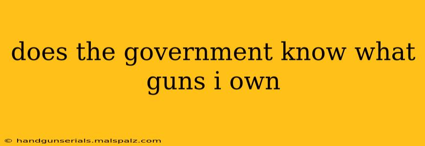 does the government know what guns i own