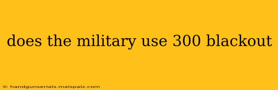 does the military use 300 blackout