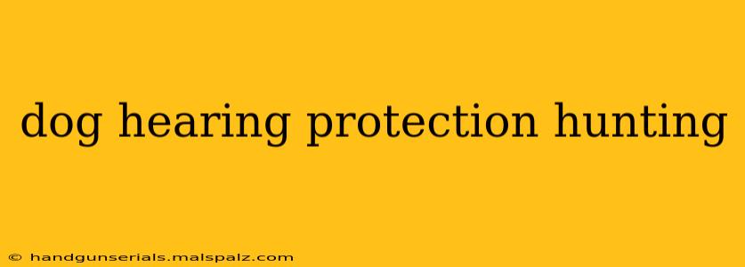 dog hearing protection hunting