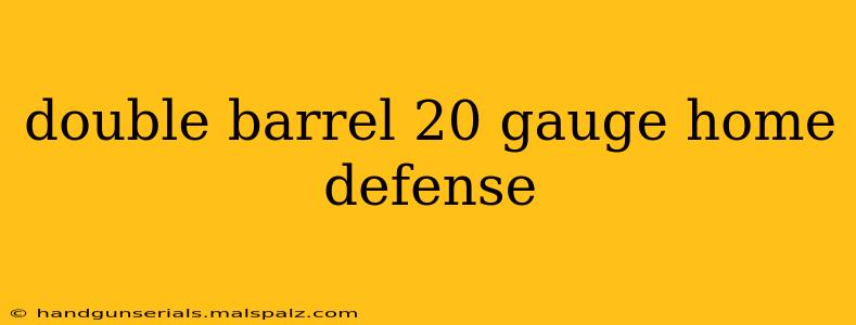 double barrel 20 gauge home defense