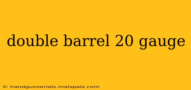 double barrel 20 gauge