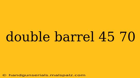 double barrel 45 70