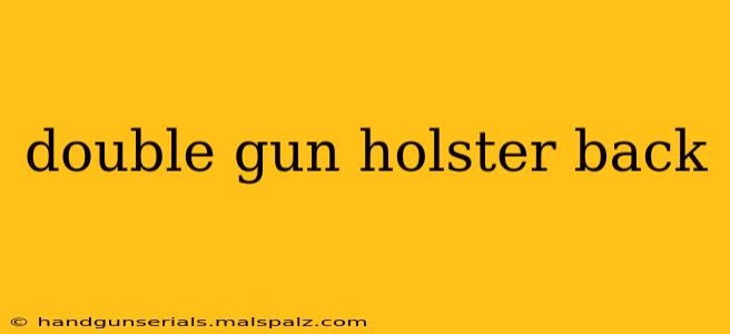 double gun holster back