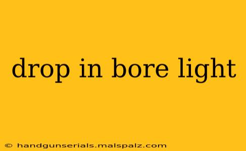 drop in bore light