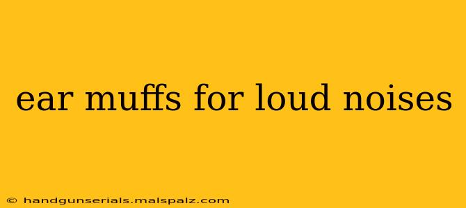 ear muffs for loud noises