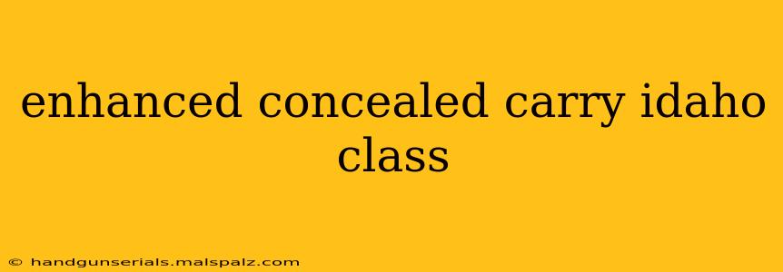 enhanced concealed carry idaho class