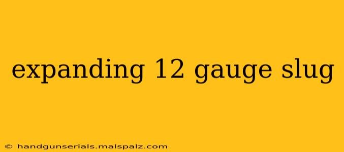 expanding 12 gauge slug