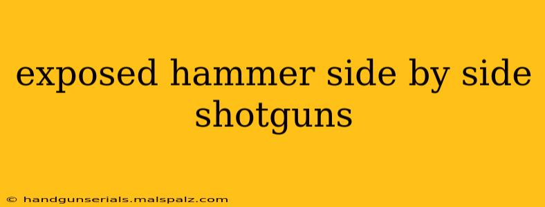 exposed hammer side by side shotguns