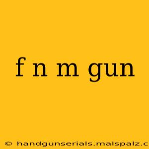 f n m gun