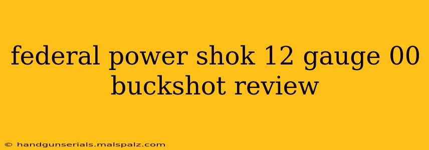 federal power shok 12 gauge 00 buckshot review