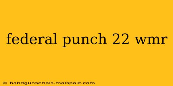 federal punch 22 wmr