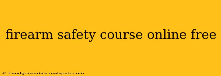 firearm safety course online free