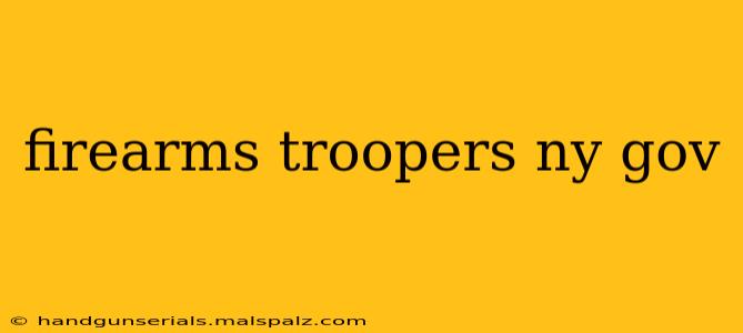 firearms troopers ny gov