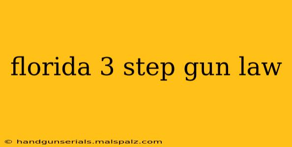 florida 3 step gun law