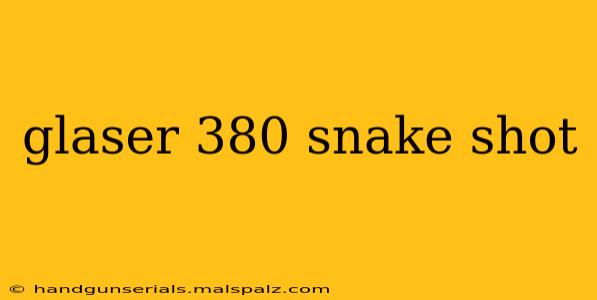 glaser 380 snake shot