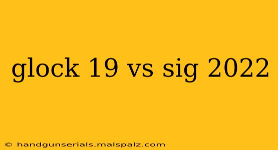 glock 19 vs sig 2022