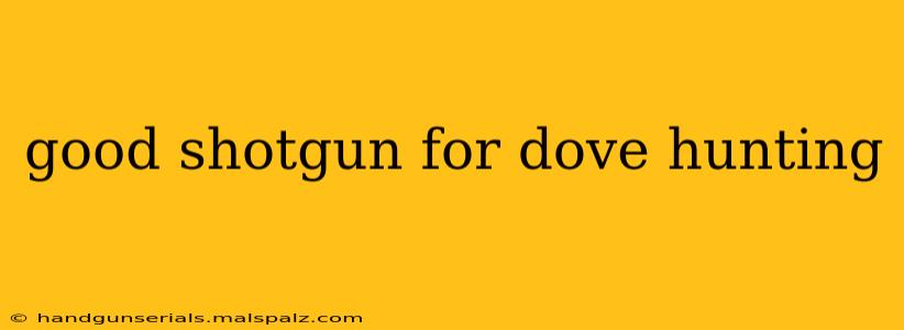 good shotgun for dove hunting