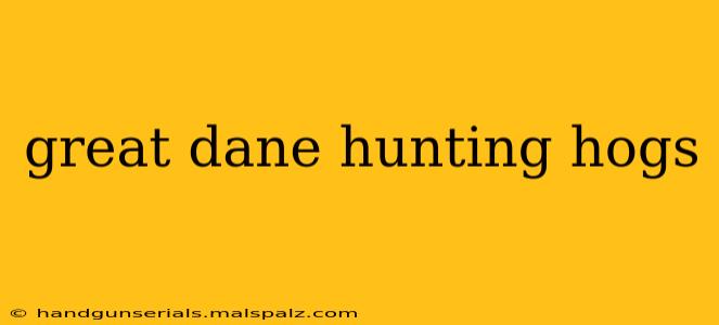 great dane hunting hogs