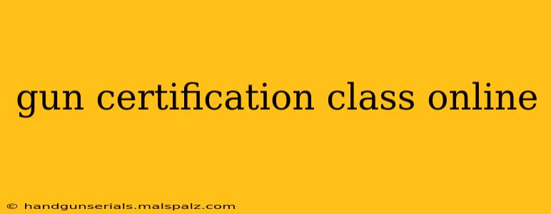 gun certification class online