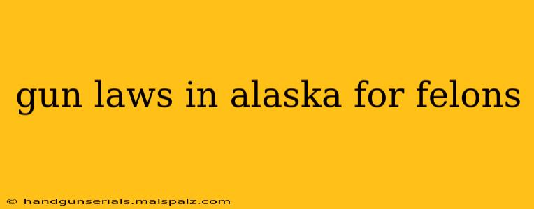 gun laws in alaska for felons