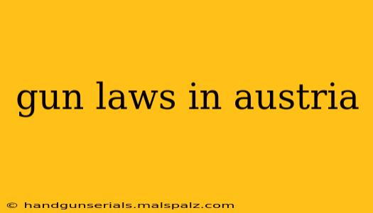 gun laws in austria