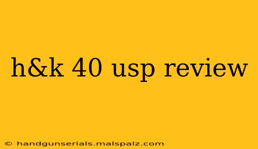 h&k 40 usp review