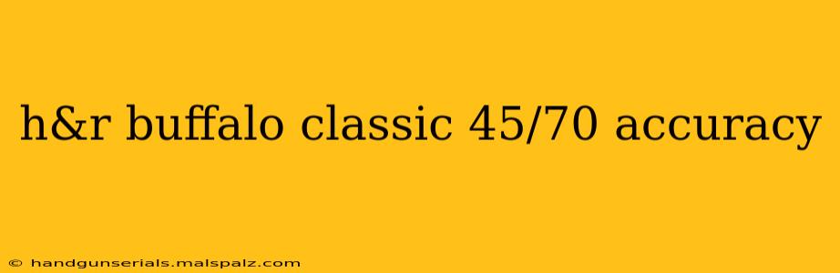 h&r buffalo classic 45/70 accuracy
