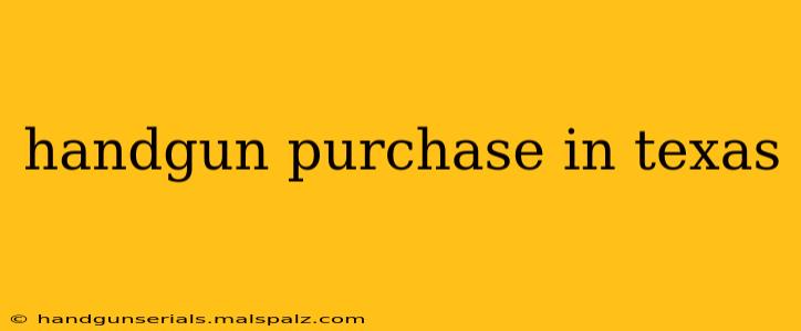 handgun purchase in texas