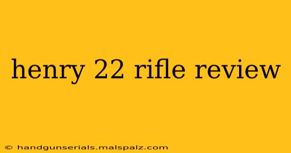 henry 22 rifle review