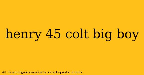 henry 45 colt big boy