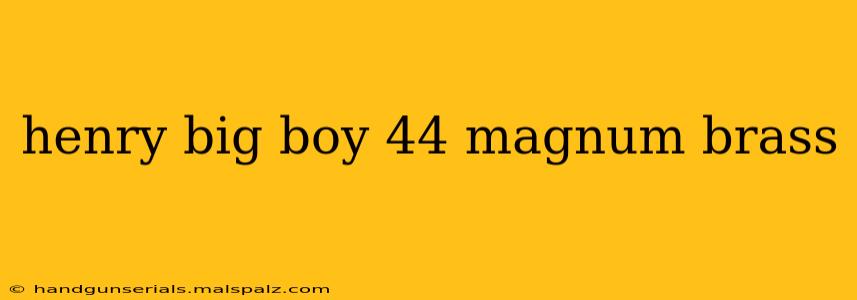 henry big boy 44 magnum brass