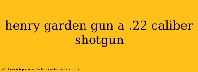 henry garden gun a .22 caliber shotgun