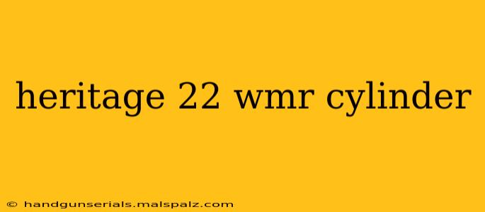 heritage 22 wmr cylinder