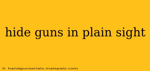 hide guns in plain sight