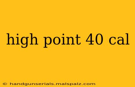 high point 40 cal