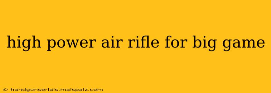 high power air rifle for big game